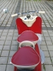 bild0145