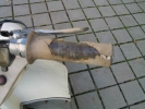 bild0011